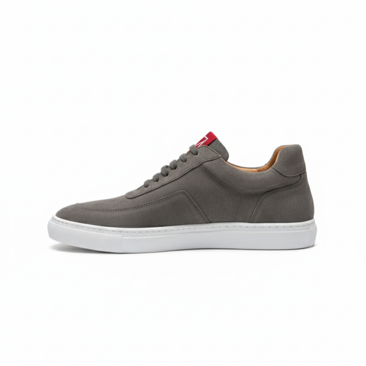 Nova Grey